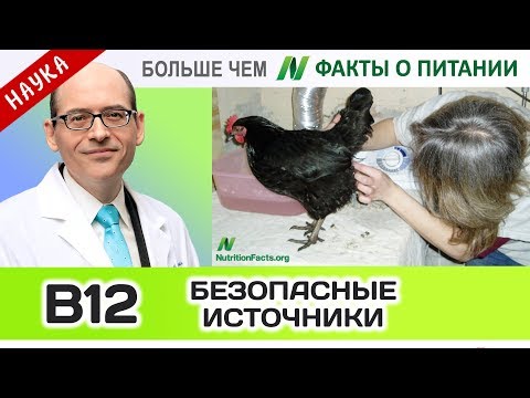 0413.Самый безопасный источник В12 | Больше чем ФАКТЫ О ПИТАНИИ - Майкл Грегер